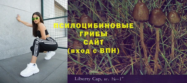 круглые Бронницы