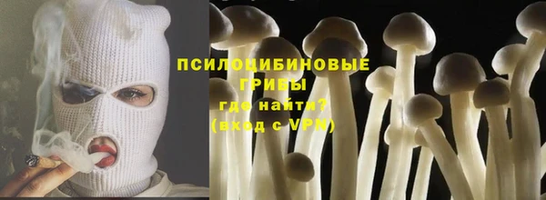 jwh Бородино