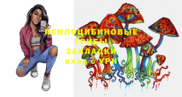 круглые Бронницы