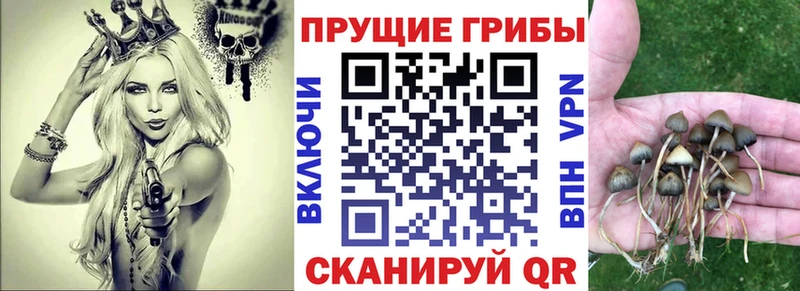 купить наркотик  Палласовка  Галлюциногенные грибы Magic Shrooms 